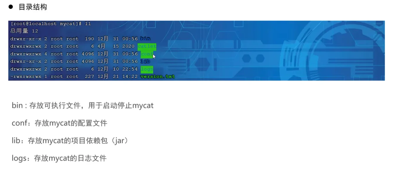 image-20250725140412506